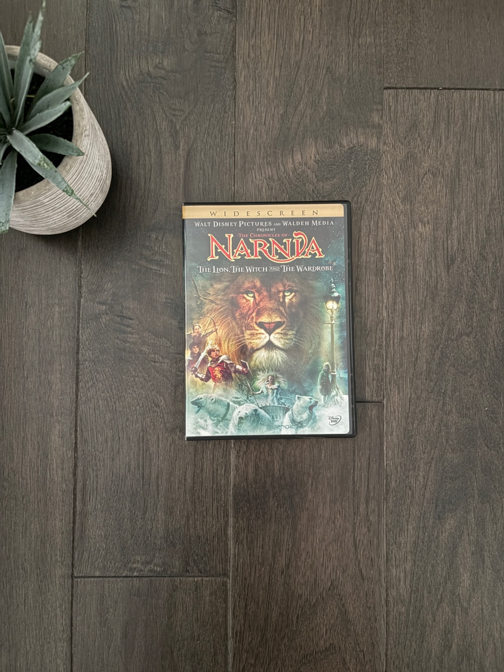 The Chronicles of Narnia DVD